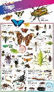 DKfindout! Bugs Poster