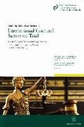 International Criminal Justice on Trial