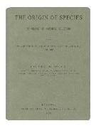 The Origin of Species: Sage Lined Journal