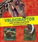 Velociraptor and Other Raptors