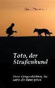 Toto, der Straßenhund