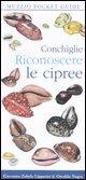 Conchiglie. Riconoscere le cipree