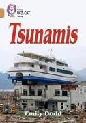 Tsunamis