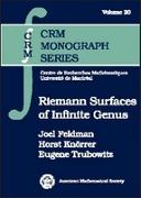 Riemann Surfaces of Infinite Genus