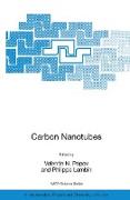 Carbon Nanotubes: From Basic Research to Nanotechnology