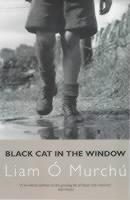 Black Cat in the Window