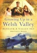 Growing Up in a Welsh Valley: Beneath a Valley Sky