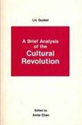 A Brief Analysis of the Cultural Revolution