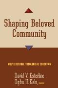 Shaping Beloved Community