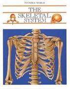 The Skeletal System