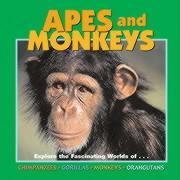 Apes and Monkeys