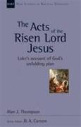 The Acts of the Risen Lord Jesus