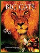 Discover Big Cats