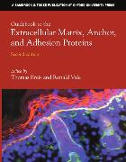 Guidebook to the Extracellular Matrix, Anchor and Adhesion Proteins