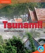 Tsunami!