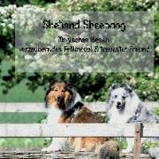 Shetland Sheepdog - Magisches Wesen, bezauberndes Fellknäuel und treuster Freund