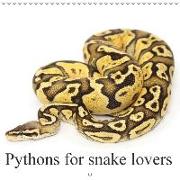 Pythons for snake lovers (Wall Calendar 2018 300 × 300 mm Square)