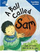 Rigby Star Guided Reading Blue Level: A Ball Called Sam Teaching Version