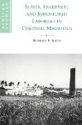 Slaves, Freedmen and Indentured Laborers in Colonial Mauritius