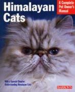 Himalayan Cats