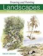 Landscapes, Problems and Solutions