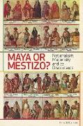 Maya or Mestizo?