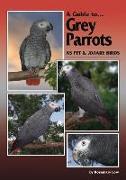 Grey Parrots as Pets and Aviary Birds