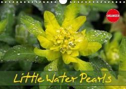 Little Water Pearls (Wall Calendar 2018 DIN A4 Landscape)
