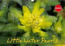 Little Water Pearls (Wall Calendar 2018 DIN A3 Landscape)