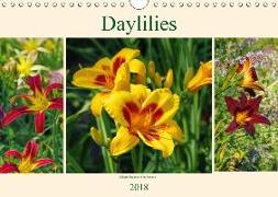 Daylilies - Delicate Beauties of the Summer (Wall Calendar 2018 DIN A4 Landscape)
