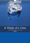 A Whale Of A Time (Wall Calendar 2018 DIN A4 Portrait)