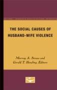 The Social Causes of Husband-Wife Violence