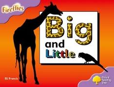Oxford Reading Tree: Level 1+: Fireflies: Big and Little