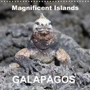 Galapagos magnificent islands (Wall Calendar 2018 300 × 300 mm Square)