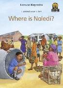 Where is Naledi?