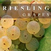 Riesling Grapes (Wall Calendar 2018 300 × 300 mm Square)