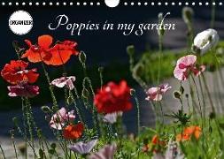 Poppies in my garden (Wall Calendar 2018 DIN A4 Landscape)