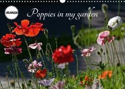 Poppies in my garden (Wall Calendar 2018 DIN A3 Landscape)