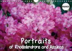 Portraits of Rhododendrons and Azaleas (Wall Calendar 2018 DIN A4 Landscape)