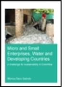 Micro and Small Enterprises, Water and Developing Countries