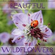 Beautiful Wildflowers (Wall Calendar 2018 300 × 300 mm Square)