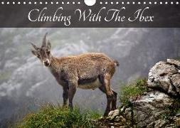 Climbing With The Ibex (Wall Calendar 2018 DIN A4 Landscape)