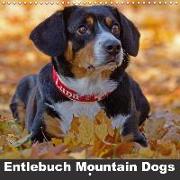 Entlebuch Mountain Dogs (Wall Calendar 2018 300 × 300 mm Square)