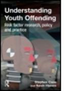 Understanding Youth Offending