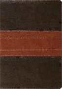 ESV Study Bible