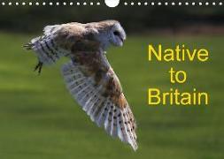 Native to Britain (Wall Calendar 2018 DIN A4 Landscape)