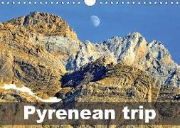 Pyrenean trip (Wall Calendar 2018 DIN A4 Landscape)