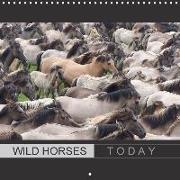Wild horses today (Wall Calendar 2018 300 × 300 mm Square)