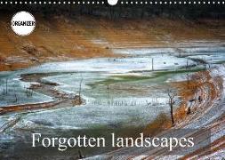 Forgotten landscapes (Wall Calendar 2018 DIN A3 Landscape)