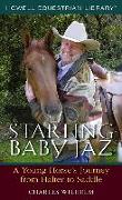 Starting Baby JAZ: A Young Horse's Journey from Halter to Saddle